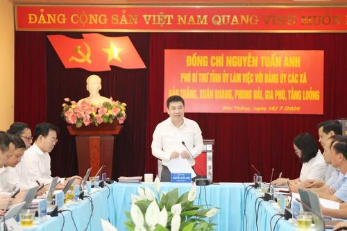 Phó Bí thư Tỉnh ủy Nguyễn Tuấn Anh làm việc với Đảng ủy các xã Bảo Thắng, Xuân Quang, Phong Hải, Gia Phú và Tằng Loỏng