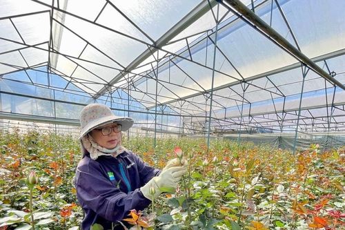 Tận dụng lợi thế để phát triển
