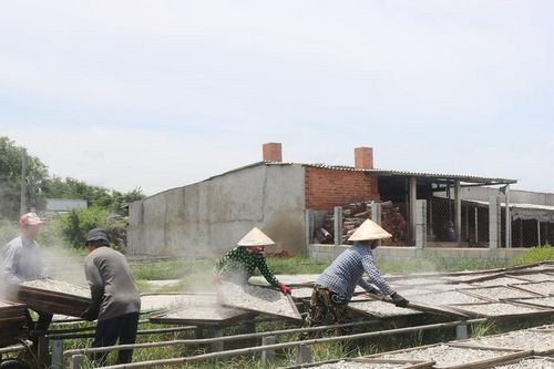 Nghề hấp cá cơm bị nhiều điều tiếng