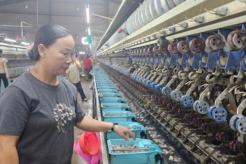 Gieo 'mầm lụa' trên vùng đất khó