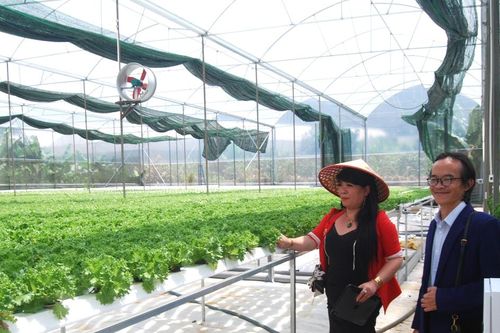 Để đạt chỉ tiêu tăng trưởng ngành nông nghiệp