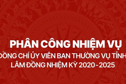 Phân công nhiệm vụ 29 đồng chí Ủy viên Ban Thường vụ Tỉnh ủy Lâm Đồng nhiệm kỳ 2020 – 2025