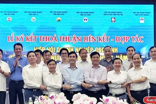 Hình thành hệ sinh thái liên kết và hỗ trợ doanh nghiệp