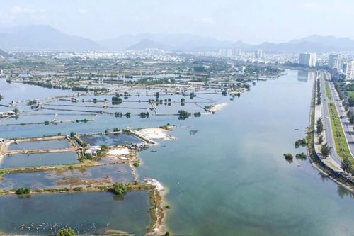 Khánh Hòa: Đăng ký khởi công 4 dự án lớn dịp kỷ niệm 80 năm Quốc khánh