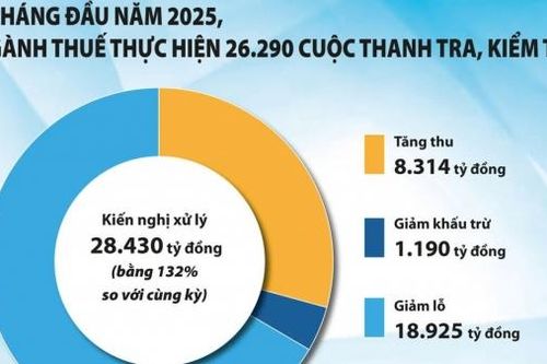 Doanh nghiệp có giao dịch liên kết 'né thuế' ngày càng tinh vi