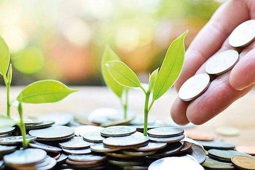 Tín dụng xanh chờ cú hích từ chính sách hỗ trợ lãi suất 2%