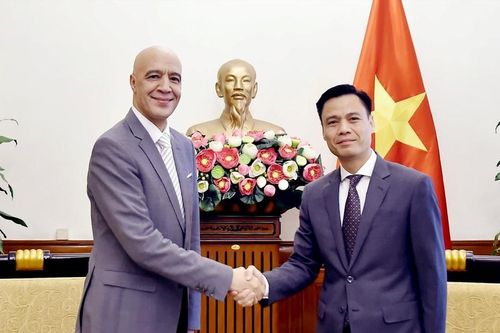 Đưa quan hệ Việt Nam với Senegal, Morocco, Thụy Sỹ đi vào chiều sâu