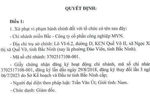 Bắc Ninh: Chi nhánh miền Bắc - Công ty CP công nghiệp MVN vi phạm pháp luật về môi trường