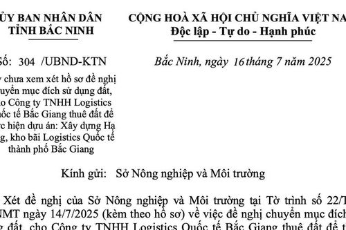 Chủ tịch tỉnh Bắc Ninh yêu cầu làm rõ các nội dung liên quan đề nghị cho Công ty TNHH Logistics Quốc tế Bắc Giang thuê đất
