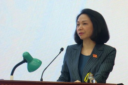 Lắng nghe, giải quyết các ý kiến của cử tri