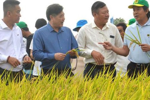 Phát triển kinh tế nông nghiệp gắn với bảo vệ môi trường