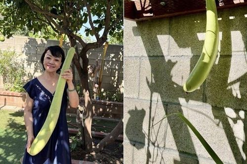 Danh ca Hương Lan có giàn bầu được nhiều nghệ sĩ đến thăm, yên ấm cùng chồng kỹ sư trong nhà vườn 1.000m2
