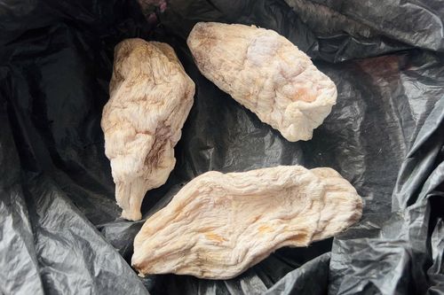 Giả bệnh nhân hỏi thăm, lừa bán 'thuốc quý' tiền triệu trong bệnh viện