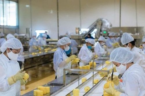 Thúc đẩy xuất khẩu 4 sản phẩm trái cây chủ lực