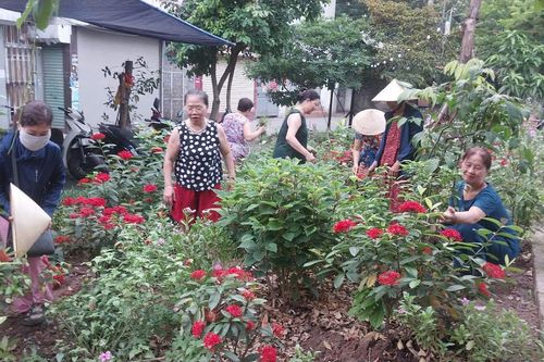 Giữ gìn vệ sinh môi trường trên địa bàn phường Định Công