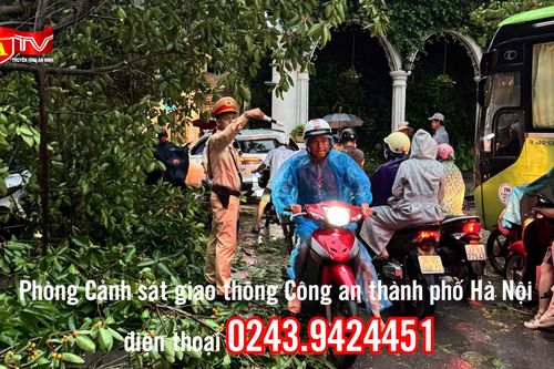 Người dân hạn chế ra đường khi mưa lớn, gió giật mạnh