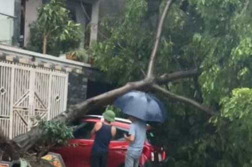 Thái Nguyên: Nhiều ngôi nhà bị tốc mái, cây gẫy đổ đè ô tô