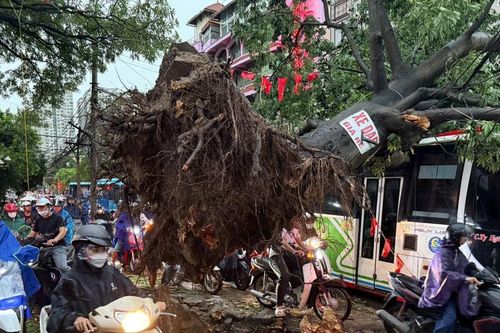 Cây gãy đổ, kính vỡ khắp nơi trong cơn mưa dông lớn ở Hà Nội