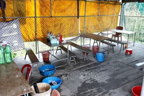 Kết quả điều tra vụ ăn tiết canh, lòng lợn làm 2 người không qua khỏi