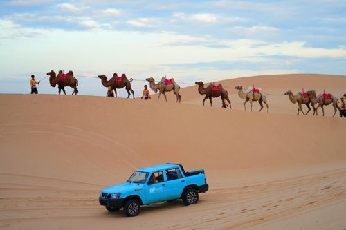 Rộ tour cưỡi lạc đà sau lệnh tạm ngưng xe Jeep ở Bàu Trắng