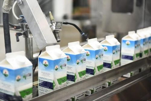 Công ty sữa lâu đời nhất Việt Nam lãi lớn