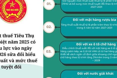 Biểu Thuế tiêu thụ đặc biệt theo Luật số 66/2025/QH155 áp dụng từ 01/01/2026