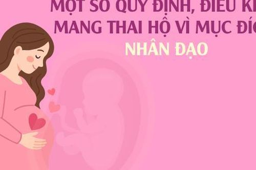 Infographics: Một số quy định, điều kiện mang thai hộ vì mục đích nhân đạo