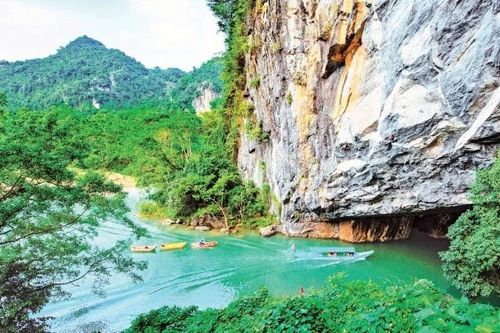Vườn quốc gia Phong Nha-Kẻ Bàng phấn đấu đạt tiêu chuẩn Danh lục Xanh