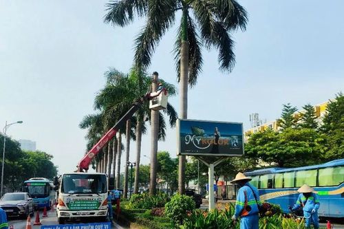 Hà Nội ra quân chỉnh trang đô thị phục vụ kỷ niệm 80 năm Cách mạng Tháng Tám và Quốc khánh 2-9