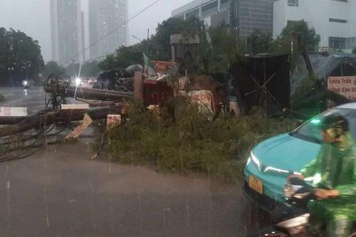 Mưa giông lớn bất ngờ, nhiều cây ở Hà Nội bị đổ