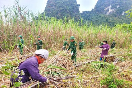 Biên cương xanh từ những bước chân nghĩa tình