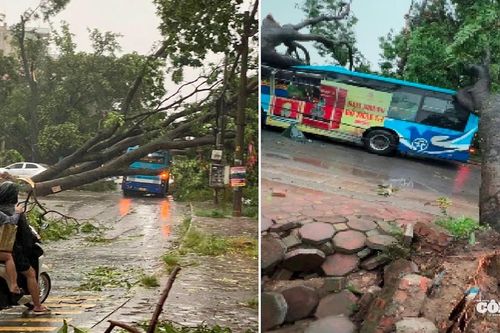 Hà Nội: Cây đổ đè xe buýt khi mưa lớn, gần 20 người thoát nạn