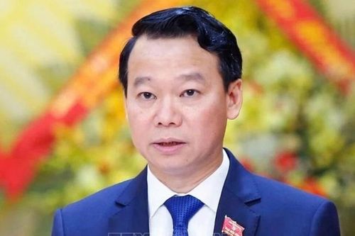 Cho thôi làm nhiệm vụ đại biểu Quốc hội với ông Đỗ Đức Duy