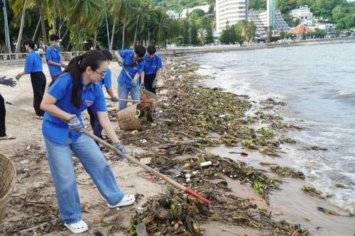 TP HCM: Phường Vũng Tàu ra quân làm sạch môi trường
