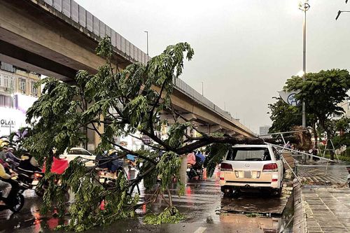 Mưa giông bất ngờ ập xuống Hà Nội, cây đổ đè trúng xe Lexus