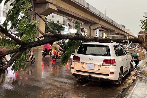 Lexus LX570, Hyundai Tucson bị cây đè trúng trong cơn giông bất ngờ ở Hà Nội
