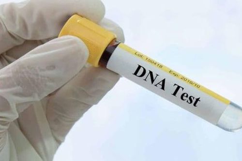 Làm giả kết quả xét nghiệm ADN để trốn chu cấp tiền nuôi con