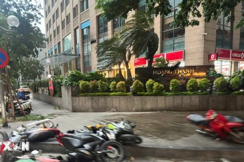 Hà Nội: Mưa giông lớn bất ngờ khiến nhiều cây xanh, xe cộ bị quật đổ trên đường