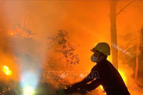 Huy động hàng trăm người dập tắt vụ cháy rừng trên núi Dẻ (Nghệ An) trong đêm