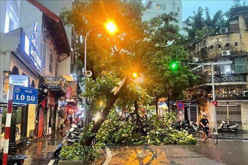 Hà Nội: Giông lốc thổi mạnh gây đổ nhiều phương tiện