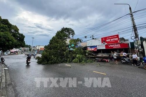 Mưa dông gây thiệt hại nhiều nơi tại Cao Bằng