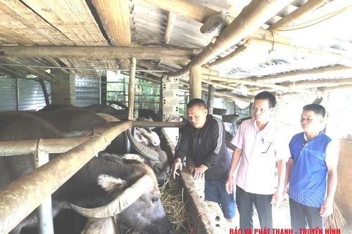 Đồng hành cùng người nghèo