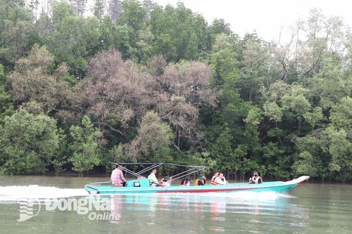Hiểu hơn về du lịch xanh ở Đồng Nai