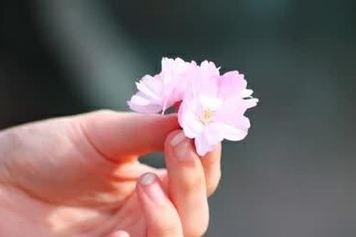 Yêu thương đong đầy năm tháng