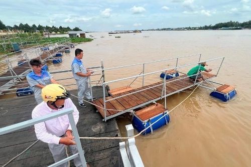 Nét đẹp văn hóa ứng xử với thiên nhiên