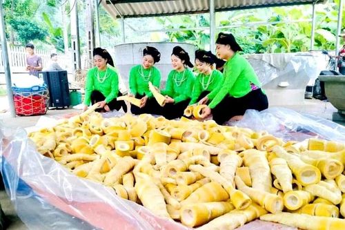 Lâm Thượng rộn ràng vào vụ măng mai