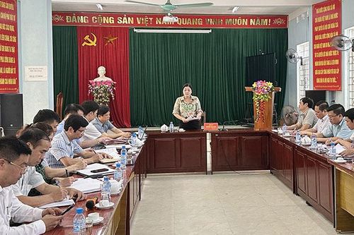 Cao tốc Chợ Mới - Bắc Kạn: Hoàn thành xử lý vướng mắc mặt bằng trước ngày 24-7