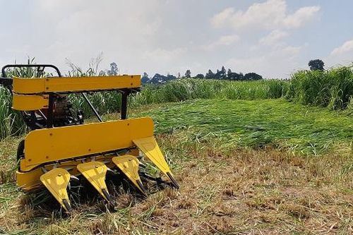 Công ty CP Cơ khí An Giang: Cần đổi mới sản phẩm để phục hồi tăng trưởng