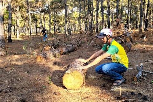 Gia Lai: Cận cảnh dự án sân golf Đak Đoa sau ba năm bỏ hoang