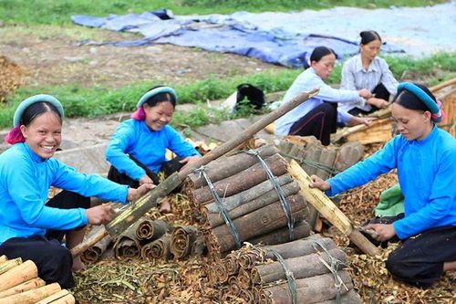 Trợ lực phát triển lâm nghiệp bền vững